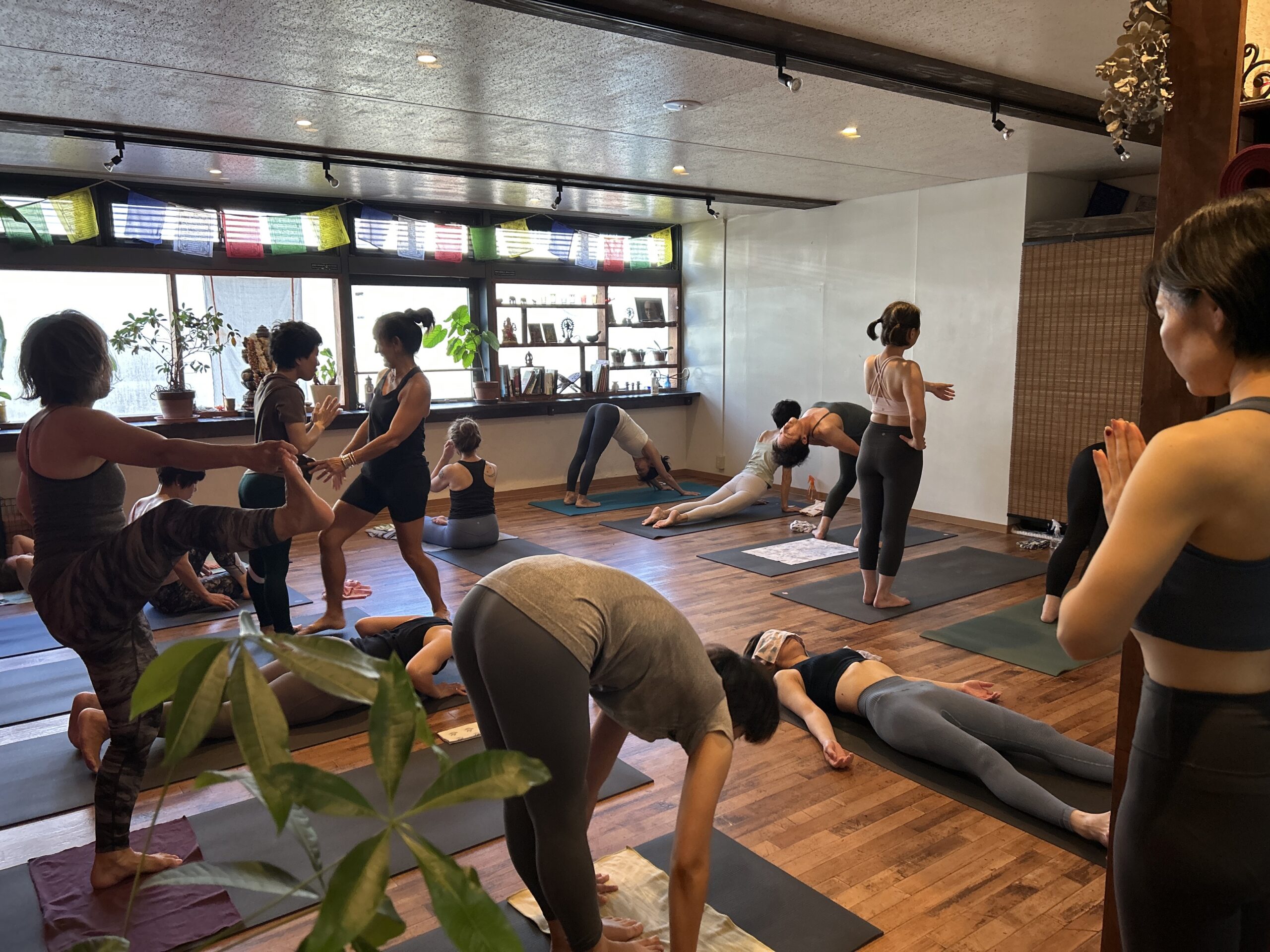 【Cathy’s Mysore Workshop 3days】